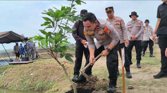 Wakapolda Metro Jaya Brigjen Dekananto menanam pohon untuk bahan SPPG Polda Metro.