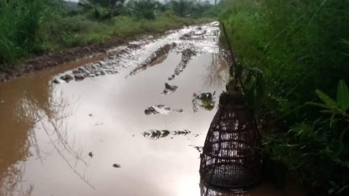 Warga pasang bubu  di jalan Desa Suda yang parah di Musi Rawas