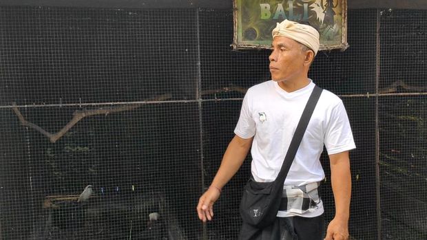I Made Suarta alias Egi dan burung-burung curik Bali yang ia rawat di penangkaran Kelompok Kehati Pertiwi Lestari, Desa Bongkasa Pertiwi, Kecamatan Abiansemal, Badung. (Agus Eka/detikBali) I Made Suarta alias Egi dan burung-burung curik Bali yang ia rawat di penangkaran Kelompok Kehati Pertiwi Lestari, Desa Bongkasa Pertiwi, Kecamatan Abiansemal, Badung. (Agus Eka/detikBali)