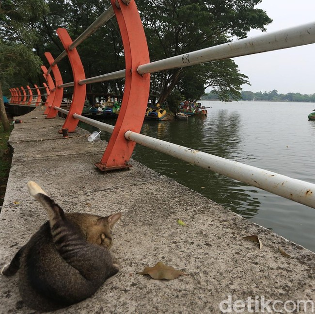 Jejak Wisata yang Memudar di Situ Cipondoh Tangerang