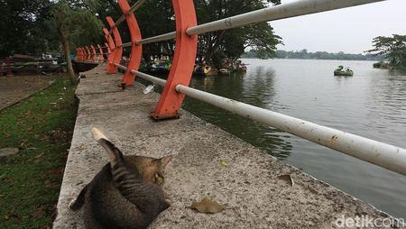Jejak Wisata yang Memudar di Situ Cipondoh Tangerang