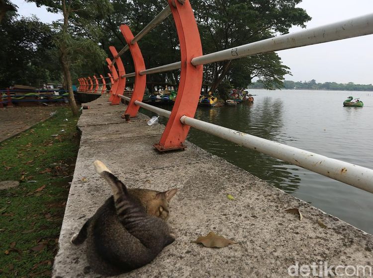 Jejak Wisata yang Memudar di Situ Cipondoh Tangerang