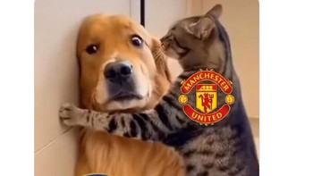 Gimana meme satu ini? Foto: Screenshot X