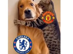 Meme MU Bikin Chelsea Merana, Garnacho Jadi Bahan Sindiran Netizen