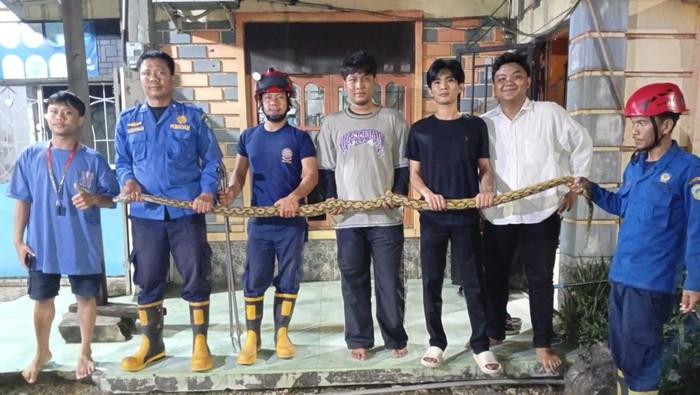 Seekor ular piton 3 meter ditemukan di lemari pakaian warga Parepare.