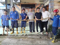 Ular Piton 3 Meter Ngumpet di Sela Lemari Warga Sulsel, Damkar Evakuasi