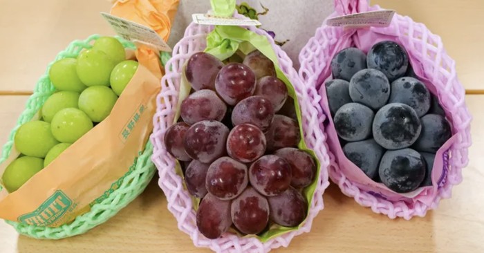 3 Anggur Jepang yang Renyah Juicy, Shine Muscat hingga Nagano Purple