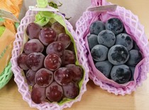 3 Anggur Jepang yang Renyah Juicy, Shine Muscat hingga Nagano Purple
