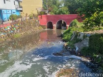 Sungai Belik Bantul Tercemar Limbah Organik Berat hingga Bikin Ikan Mati Massal