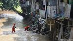 Ancaman Ikan Invasif, Jakarta Siapkan Tim Khusus Pemburu Ikan Sapu-sapu