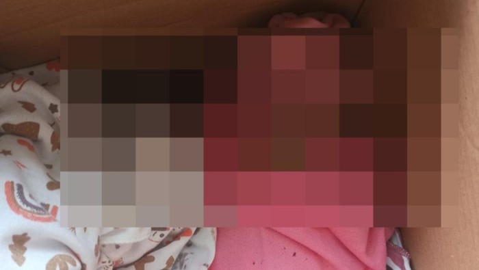 Bayi dibuang di bawah pohon Malang