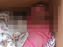 Motif Pelaku Buang Bayi di Bawah Pohon Malang: Belum Siap Hidupi Anak