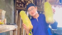 Boby Tince membangun rumah dari barang bekas. Ini rumah lama yang direnovasi. Ini kusennya juga bekas. Barang-barang ada yang dari rumah lama, ujarnya dilihat di YouTube Insertlive, Senin (20/4/2026). (Foto: dok Instagram boby_tince)