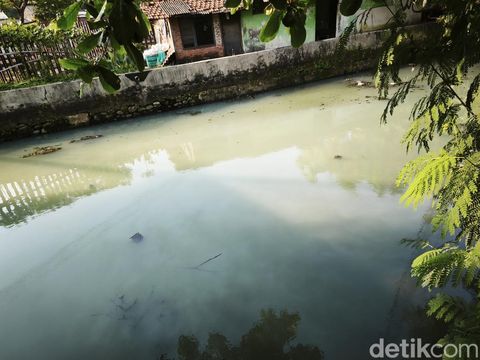 Bangkai ikan sapu-sapu di perairan Polder Tawang, Kecamatan Semarang Utara, Kota Semarang, Senin (20/4/2026).