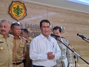 Benih Padi Minim Air Rp 2 T Disiapkan buat Lawan El Nino Godzilla