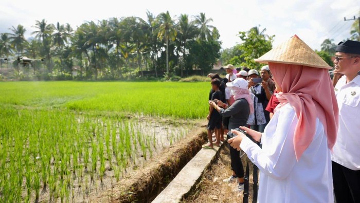 Pemkab Banyuwangi