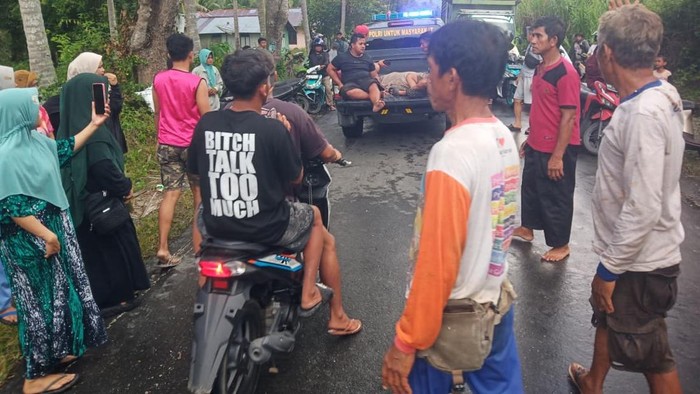 Pemotor tewas tertimpa pohon di Tojo Una-Una, Sulteng.