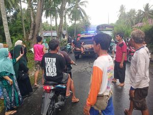 Pemotor di Tojo Una-Una Tewas Tertimpa Pohon Tumbang Saat Berkendara