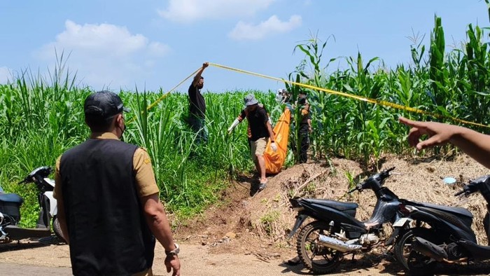 Evakuasi mayat pemuda yang ditemukan di ladang jagung Desa Sumberjo, Wonosalam, Jombang