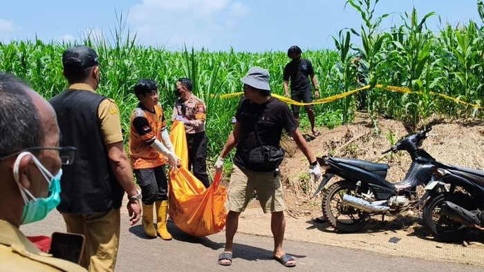 Evakuasi mayat pemuda yang ditemukan di ladang jagung Desa Sumberjo, Wonosalam, Jombang