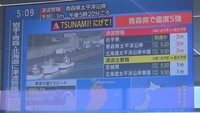Kerap Digoyang Gempa, Jepang Siapkan Lokasi Evakuasi Untuk Turis