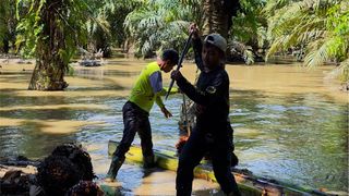Banjir Berlalu, Petani Sawit Aceh Masih Berjuang Pulihkan Kebun