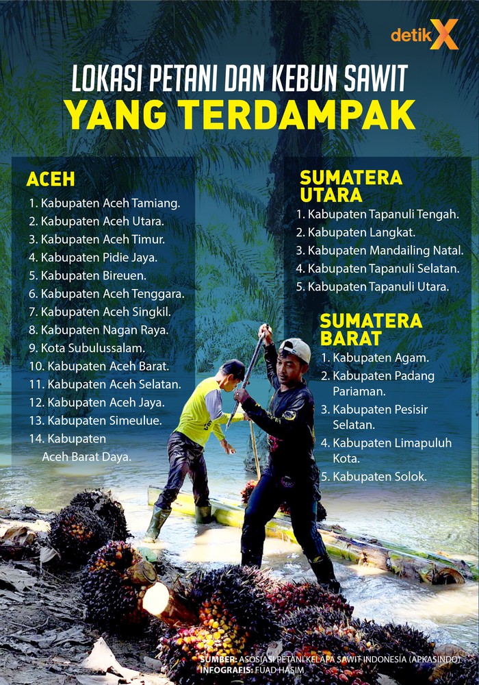 Petani Sawit