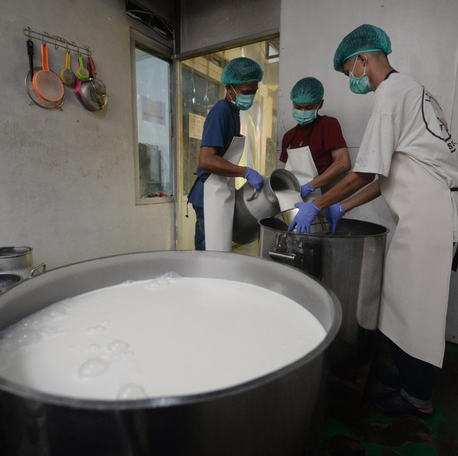Produksi Susu Boyolali Tembus Ribuan Liter untuk Program MBG