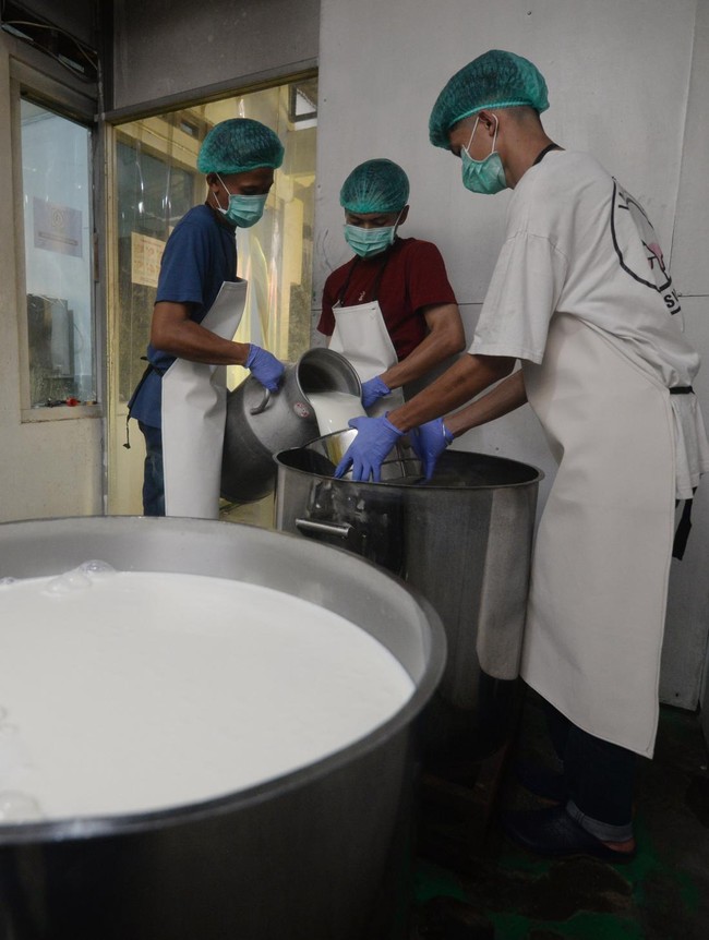 Produksi Susu Boyolali Tembus Ribuan Liter untuk Program MBG