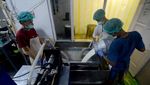 Produksi Susu Boyolali Tembus Ribuan Liter untuk Program MBG