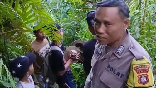 Proses pencarian lansia yang dilaporkan hilang di Desa Rendang, Karangasem, Bali, Senin (20/4/2026) (Foto: Dok. Istimewa)