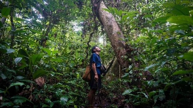 Salah satu Punan Batu sedang berburu. Foto: Mongabay/Muhibar Sobary Ardan Salah satu Punan Batu sedang berburu. Foto: Mongabay/Muhibar Sobary Ardan