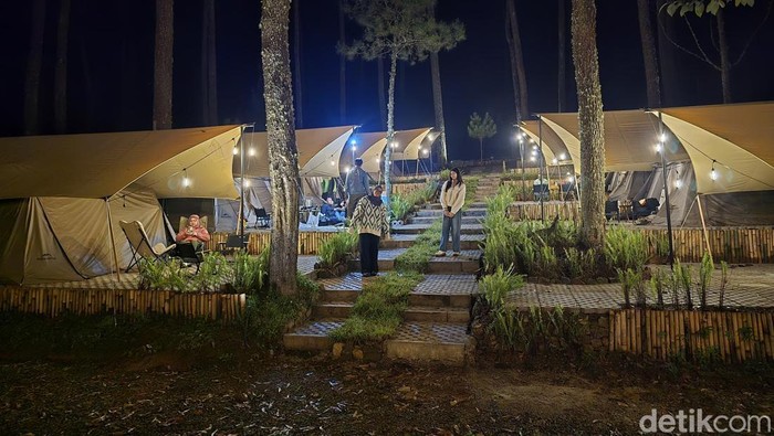 Suasana Lembayung Pinus Camp di Desa Alamendah, Kecamatan Rancabali, Kabupaten Bandung