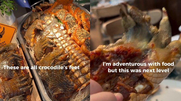 Wanita Ini Temukan Kaki Buaya di Buffet Mewah di Singapura
