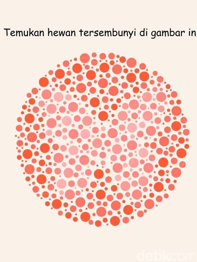 Tes Buta Warna Ini Bikin Mata Terkecoh, Bisa Tebak Apa Hewannya?