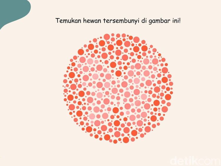 Tes Buta Warna Ini Bikin Mata Terkecoh, Bisa Tebak Apa Hewannya?