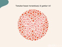 Tes Buta Warna Ini Bikin Mata Terkecoh, Bisa Tebak Apa Hewannya?