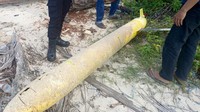 Benda berwarna kuning tersebut pertama kali ditemukan oleh seorang nelayan bernama Heri saat hendak mengecek perahunya yang ditambatkan di sekitar lokasi. Ia melihat benda mencurigakan berada tidak jauh dari perahunya.