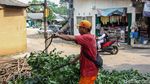 Dinas Tamhut Sisir Pohon Rawan Tumbang di Pinang Ranti