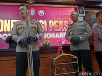 Oknum PPPK Satpol PP Gunungkidul Curi Burung Kini Dinonaktifkan