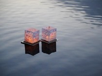 Lentera Harapan Mengapung di Xochimilco