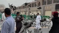 Sejauh mata memandang, interaksi antara jemaah dan merpati-merpati ini menjadi pemandangan yang menyentuh hati. Beberapa jemaah tampak duduk bersimpuh, menebarkan biji-bijian gandum di atas hamparan lantai, sementara kawanan merpati tanpa rasa takut hinggap mendekat. (Foto: Tri Aljumanto/detikcom)