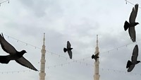 Di tanah suci Madinah, ungkapan merpati tak pernah ingkar janji itu terasa begitu nyata. Kawanan burung ini seolah memiliki kontrak setia dengan langit di Kota Nabi; mereka tidak pernah pergi jauh, selalu kembali ke pelataran marmer yang dingin, seakan menjaga janji untuk tetap menemani kedamaian di sekitar makam Rasulullah SAW. (Foto: Tri Aljumanto/detikcom)
