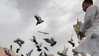 Saat kawanan burung itu membubung serentak, menciptakan simfoni bunyi dari gesekan bulu-bulu halus yang membelah udara. Mereka terbang melingkari menara-menara tinggi yang mencakar langit, lalu kembali mendarat dengan tenang di sela-sela jemaah yang sedang termenung. (Foto: Tri Aljumanto/detikcom)