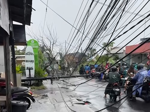 Pohon tumbang akibat hujan deras di Jalan Labuan Sait, Pecatu, Kuta Selatan, Badung pada Selasa (21/4/2026). (dok. BPBD Badung)