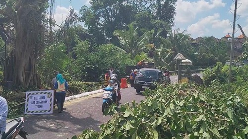 Situasi lalu lintas di jalan perbatasan Desa Peken Belayu-Desa Kukuh, Kecamatan Marga, Tabanan, setelah longsor di bagian sisi utara jalan. (Foto: Dok. Istimewa)