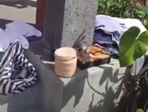 Turis India Curi Barang Hotel hingga Bule Italia Ngamuk Ditilang