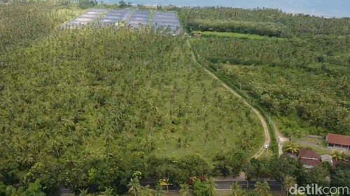 Areal lahan yang rencananya dibangun Lapas di Desa Candikusuma, Kecamatan Melaya, Bali, Rabu (15/4/2026).