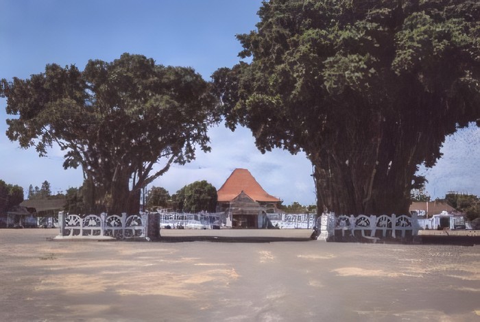 Beringin Kembar Alun-Alun Jogja. Mitos beringin kembar Jogja.