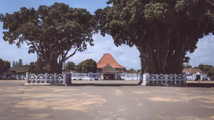 Beringin Kembar Alun-Alun Kidul Jogja